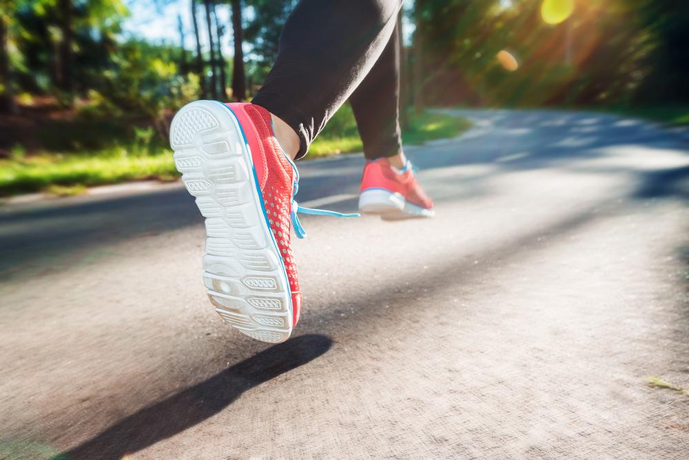 Bike, Walk, and Breathe: Explore Scenic Paths on The Shoreline Greenway Trail