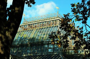 Botanical Garden