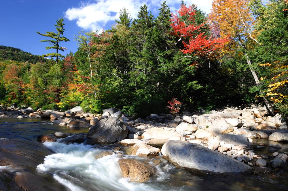 Breathe Deep and Explore Wide in White Mountain National Forest