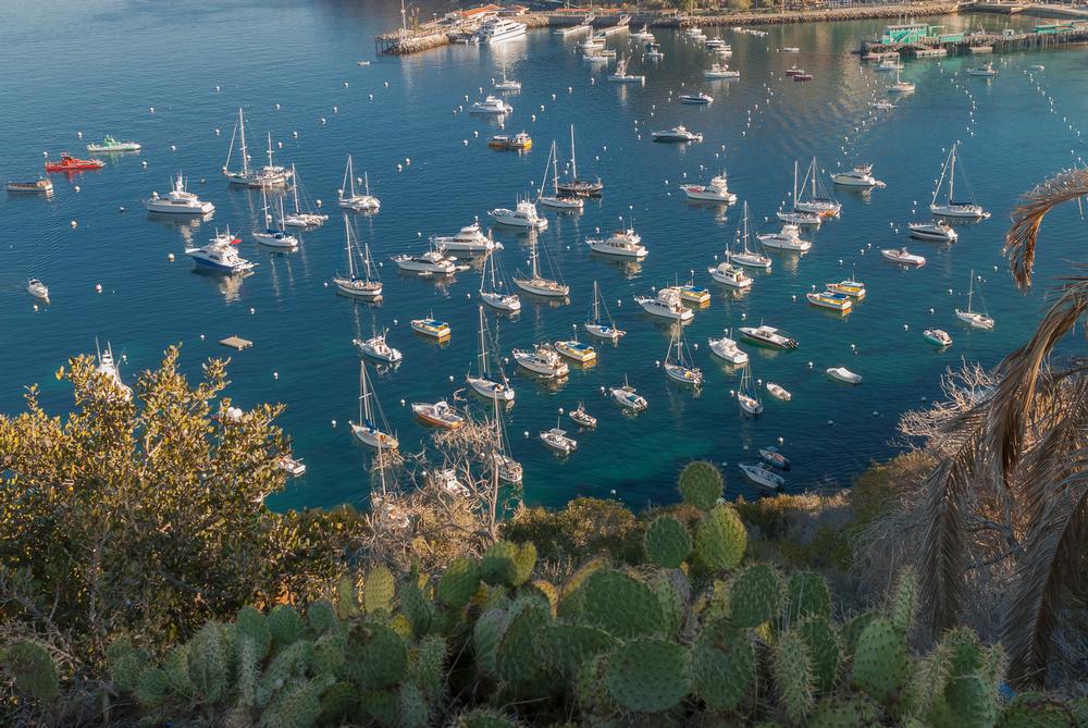 Catalina Island Company | Things to Do in Avalon, Santa Catalina Island