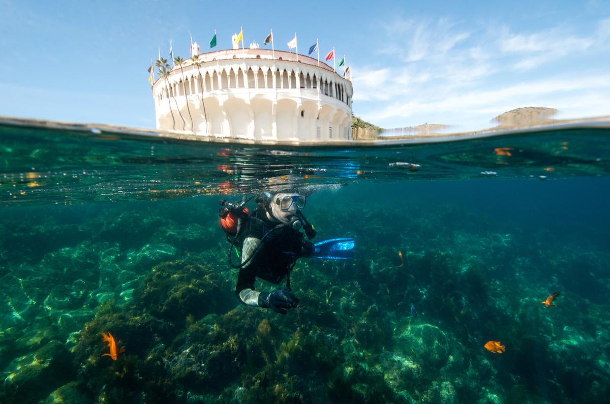 Enjoy exciting tours, explore top attractions with expert guides.