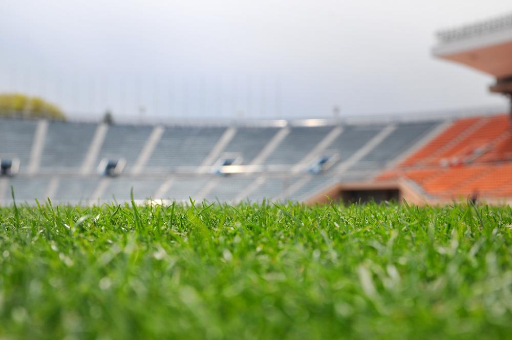 Catch a Game or Chill Out at Recreation Ballpark