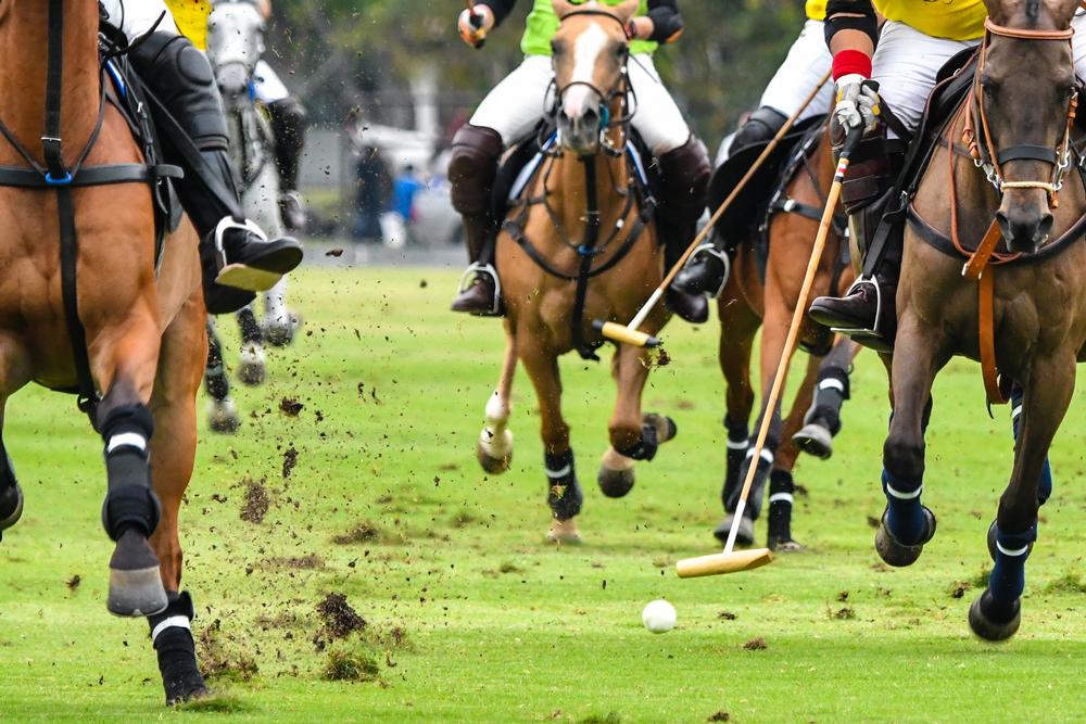 Catch World-Class Matches or Events at the Empire Polo Club