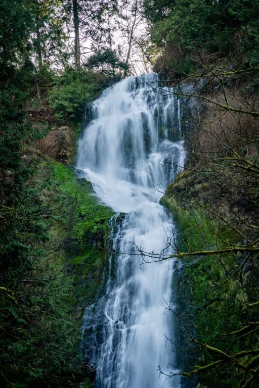 Chase the Cascade at Munson Creek Falls State Natural Site