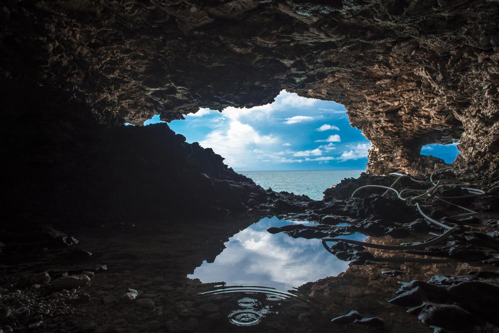 Take a guided tour of the Animal Flower Cave