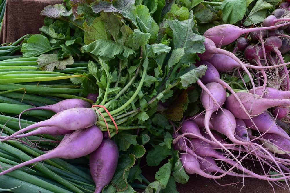 Browse fresh produce and enjoy cheap seasonal treats.