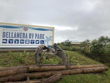 Dellanera RV Park