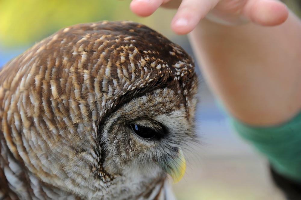 Discover wildlife exhibits and see views of the Mobile-Tensaw Delta.