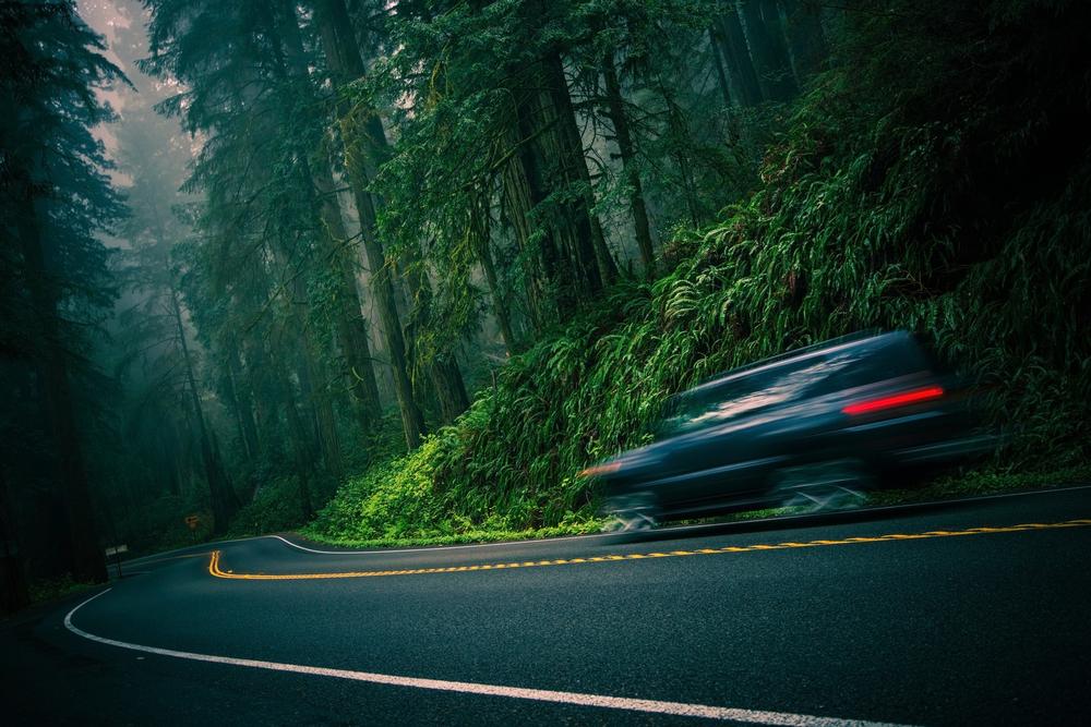 Drive Through Enchanted Forests Along Howland Hill Road