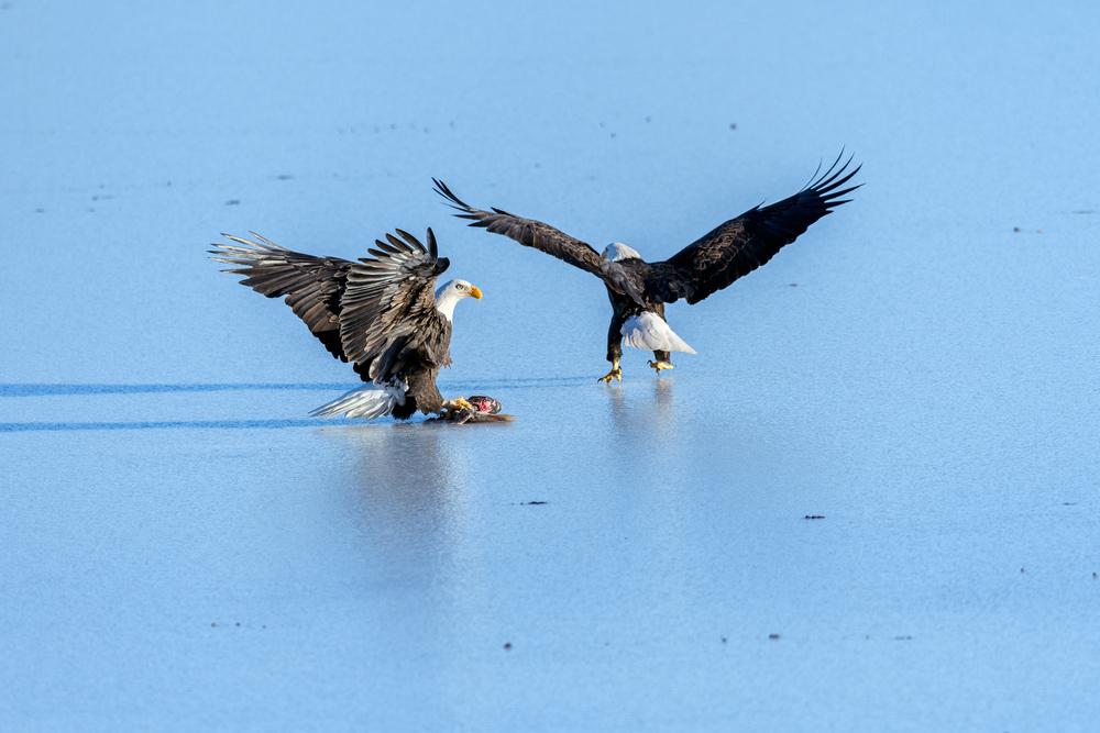 Eagle and Symphony Lakes