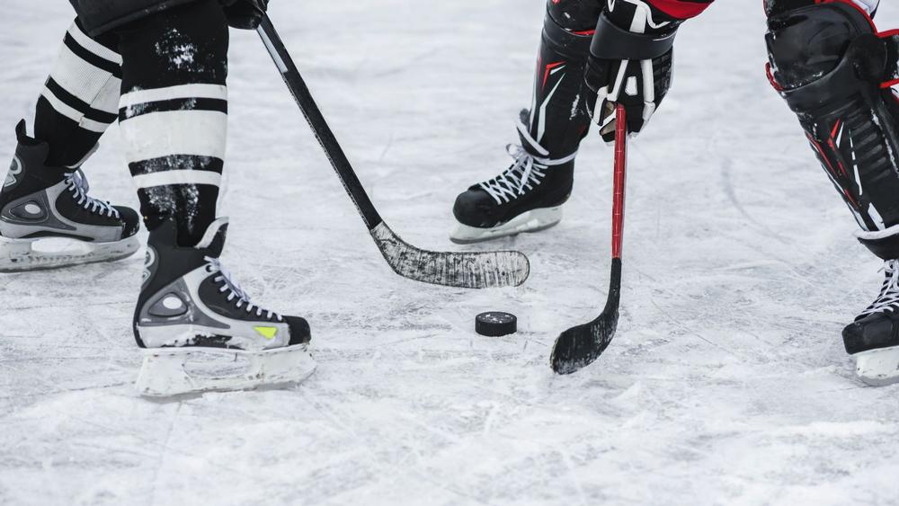 Catch the Action and Feel the Roar at Hertz Arena