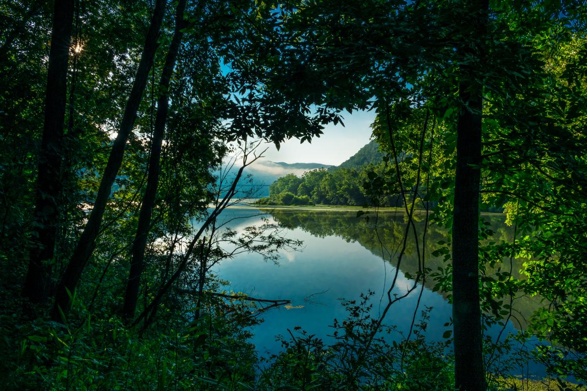 Enjoy 2,100 acres of forested mountain terrain