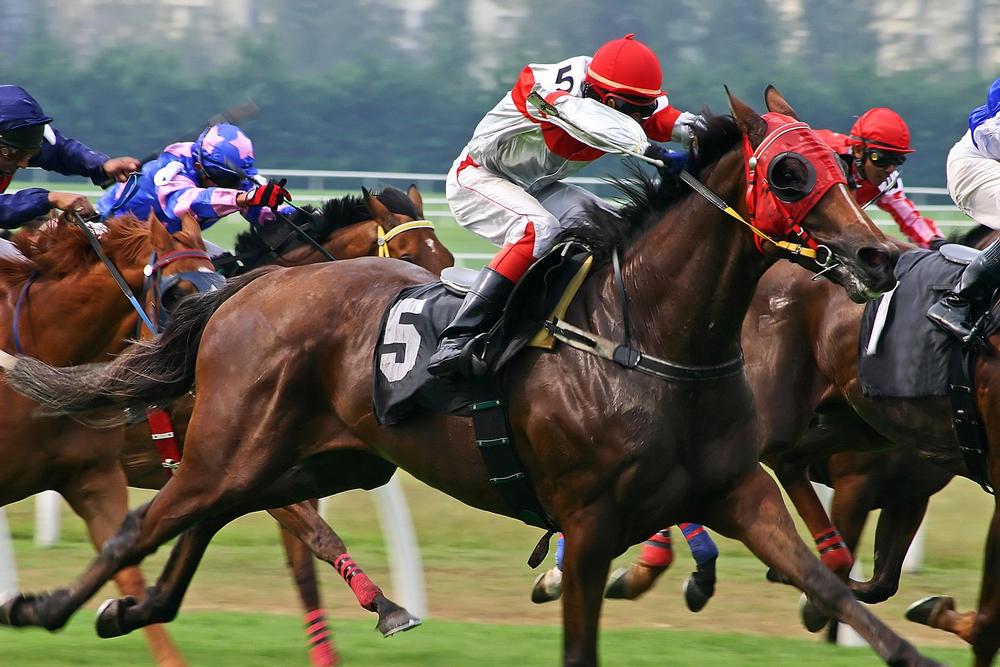 Experience the Thrill of Live Horse Racing at Parx Racing