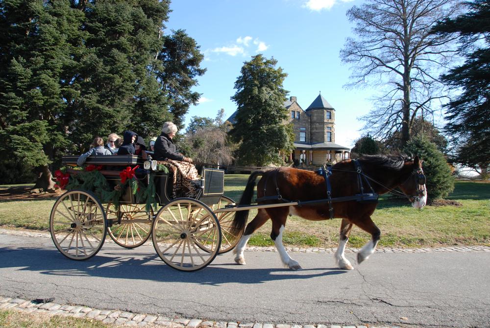 Explore Gilded-Era Charm and Gardens at Maymont