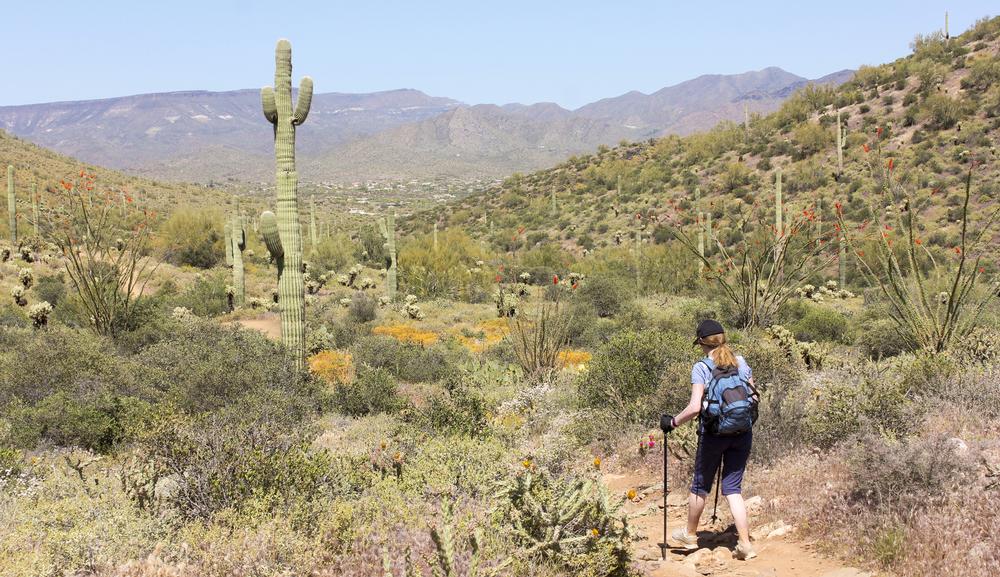 Explore Rugged Beauty and Open Skies at Cave Creek Regional Park