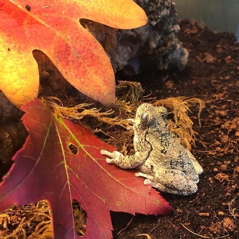 Explore Stage Nature Center