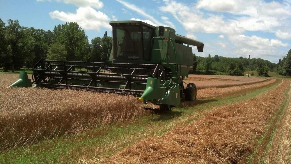For farm lovers: Shlagel Farms