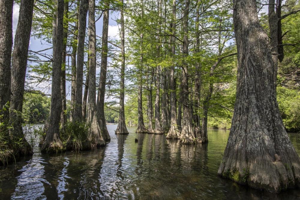 Go hiking along scenic trails in Beaver’s Bend State Park