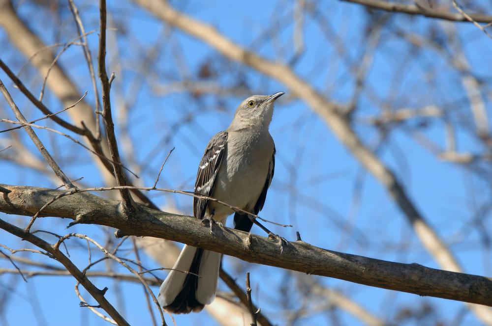 Hike, Bike, and Explore Natural Beauty at Hobbs State Park