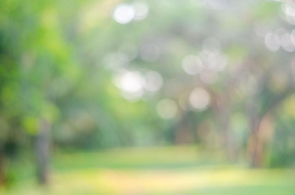 Hike, Camp, and Explore Nature at Waterloo State Recreation Area