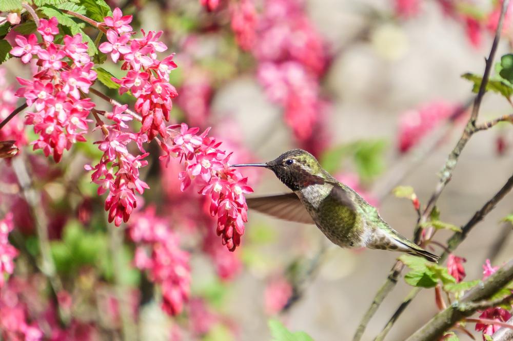 Hike, Learn, and Reconnect with Nature at the Kalamazoo Nature Center