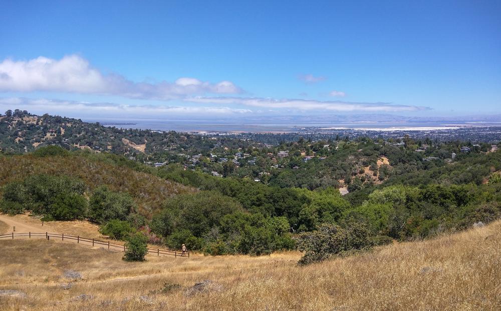 Hike Wildflower Trails and Spot Wildlife at Edgewood Park