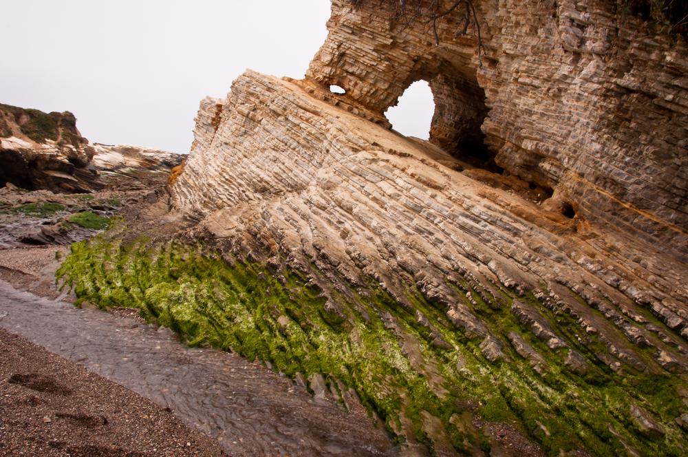 If Rugged Cliffs and Coastal Adventures Call You, Explore Montana de Oro