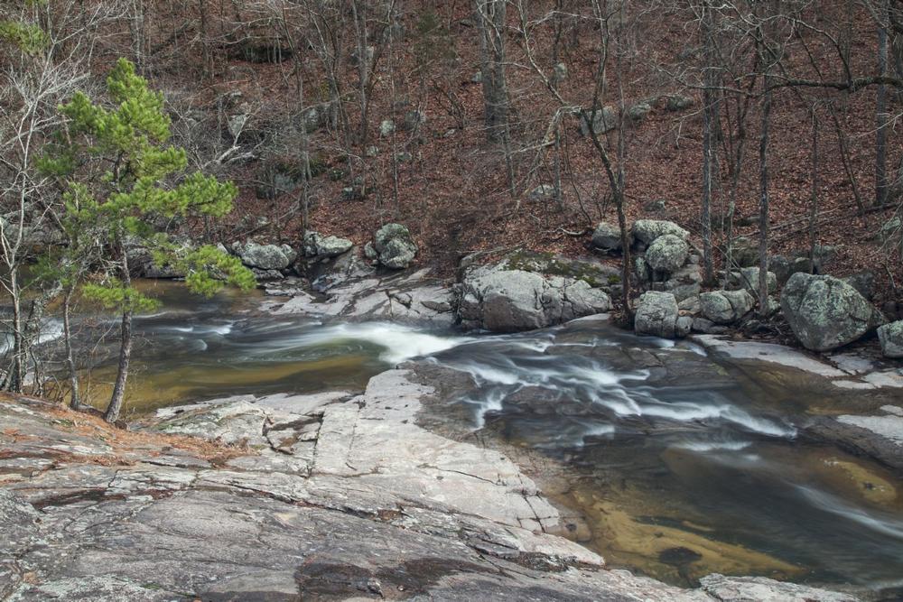 Immerse Yourself in Wilderness Trails at Hawn State Park