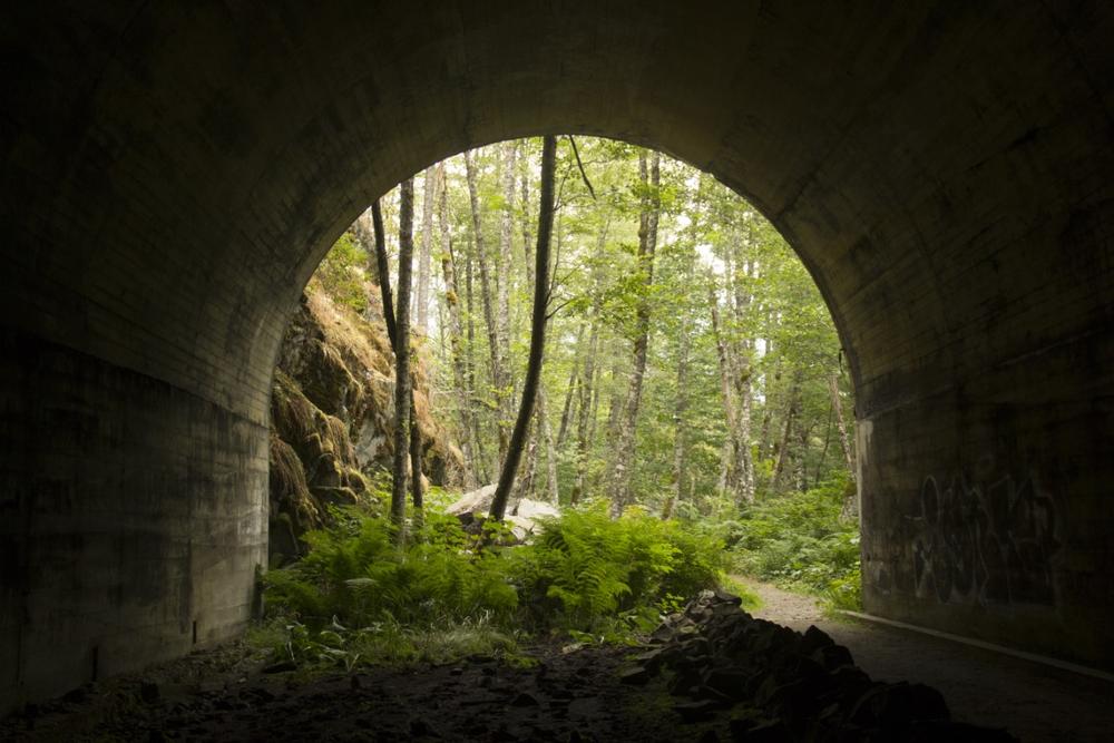 Journey Through History in the C&O Canal’s Paw Paw Tunnel