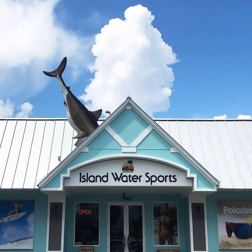 Learn to Surf, Skate, or Paddle with Island Water Sports