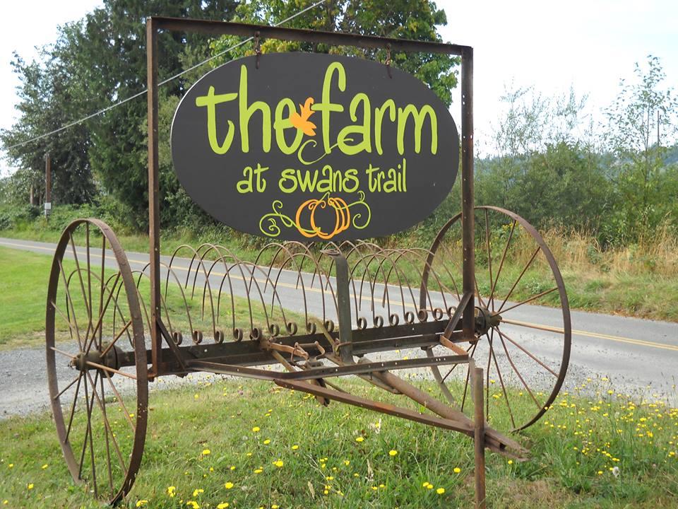 Make Family Memories at Swans Trail Farms