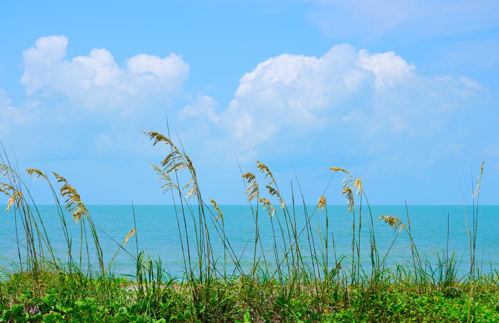 Paddle to the Past at Indian Key Historic State Park