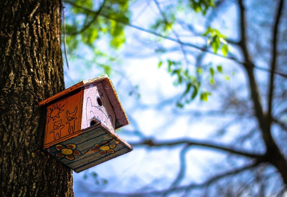Hike wooded trails and spot spring birds on a peaceful family outing.