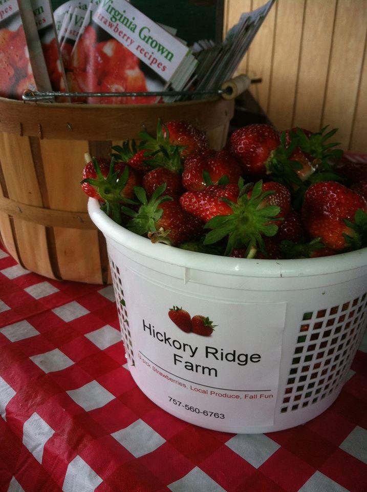 Pick Fresh and Play Freely at Hickory Ridge Farm