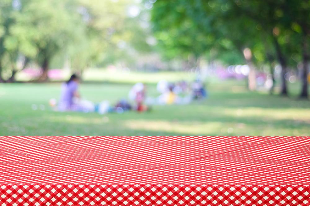 Picnic, Paddle, and Enjoy the Outdoors at Riverside Park