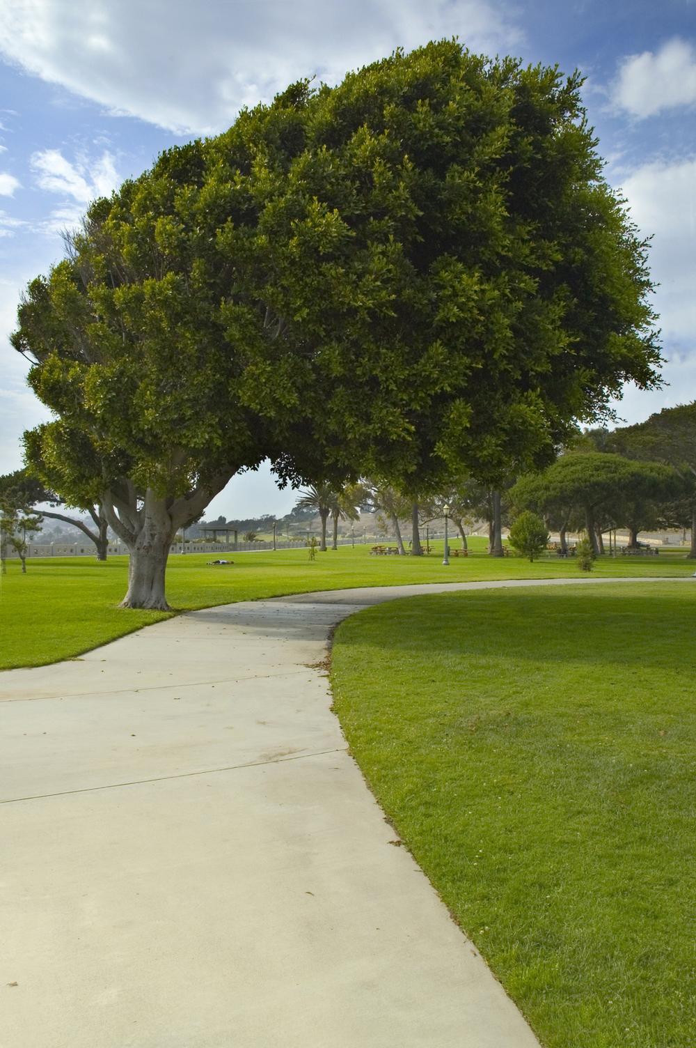Picnic with a View at Point Fermin Park