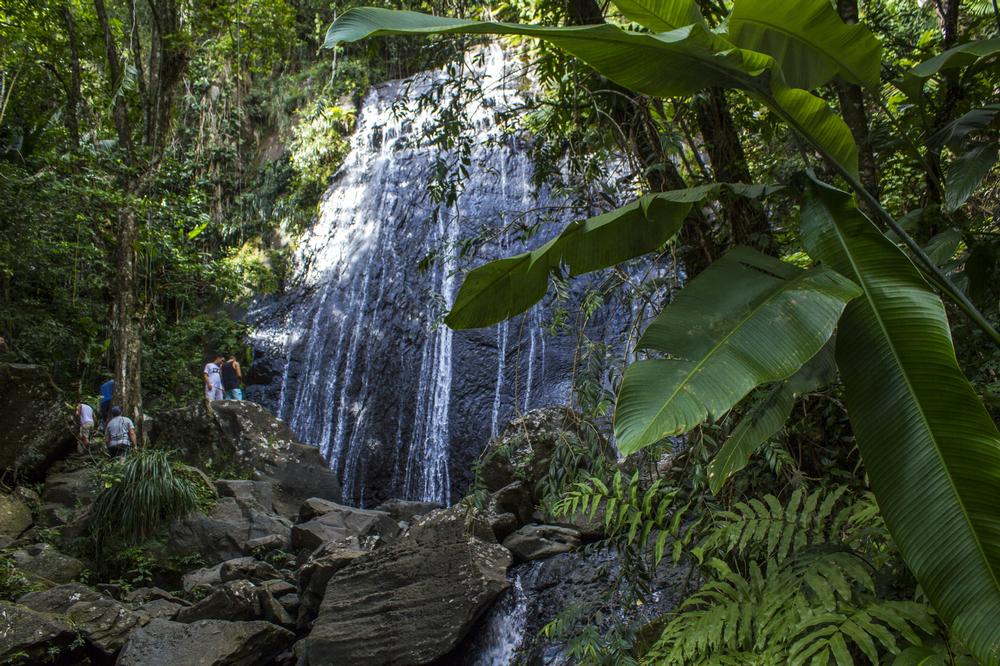 Plan Unforgettable Island Adventures with Puerto Rico Tour Desk