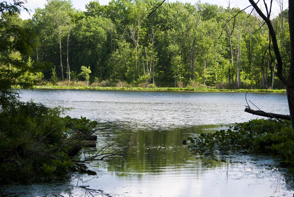 Go kayaking or relax lakeside during an affordable summer weekend trip.
