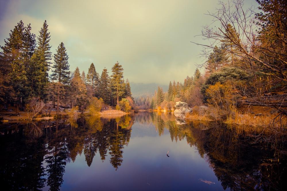 Relax Lakeside or Cast a Line at Tranquil Lake Fulmor