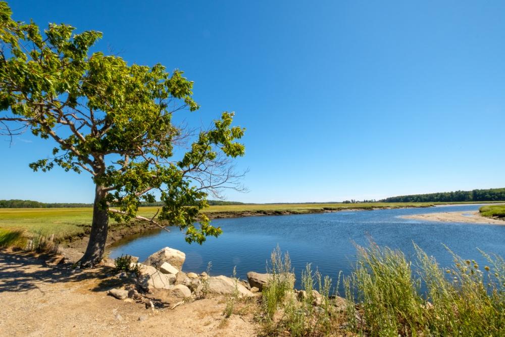 Bike along peaceful wooded paths or walk through diverse wildlife habitats.