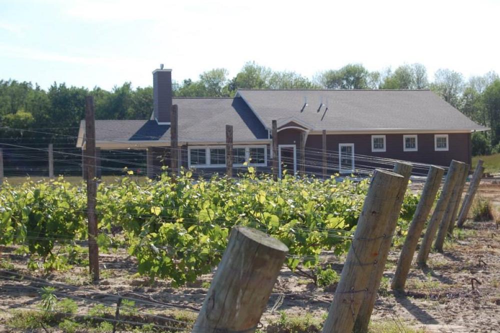 Sip Small-Batch Wines With a View at Cogdal Vineyards