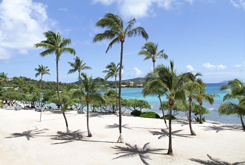 Soak Up the Sun and Sand at Bluebeards Beach