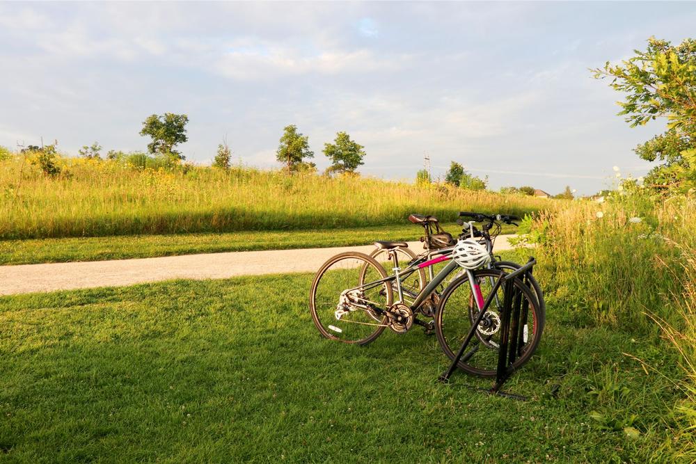 Spot Wildlife and Wander Wetlands at Pheasant Branch Conservancy