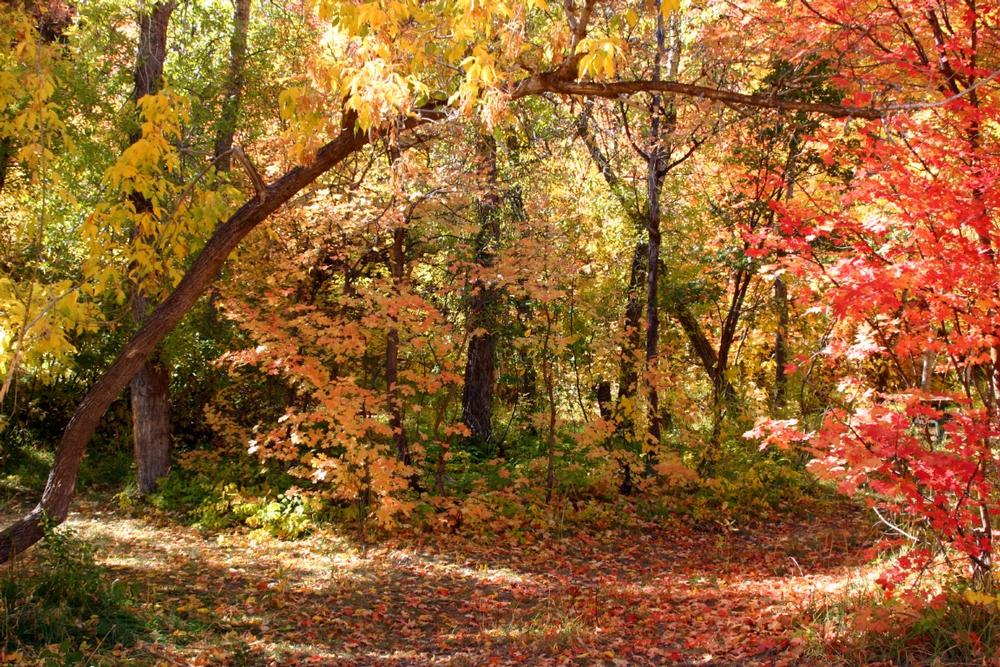 Hike on scenic trails and enjoy peaceful sights during a relaxing weekend visit.