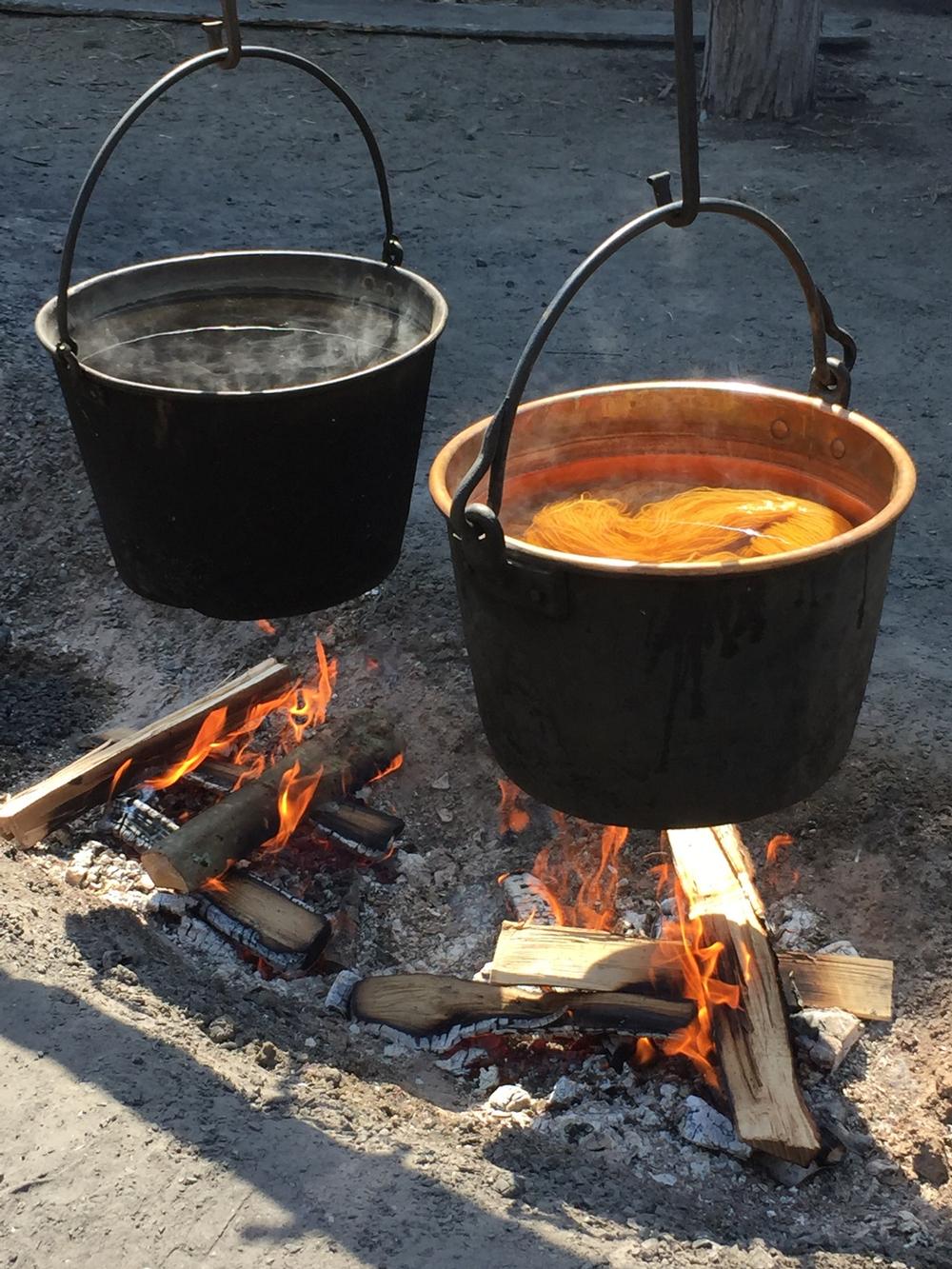 Step Into the Past at Hickory Ridge Living History Museum