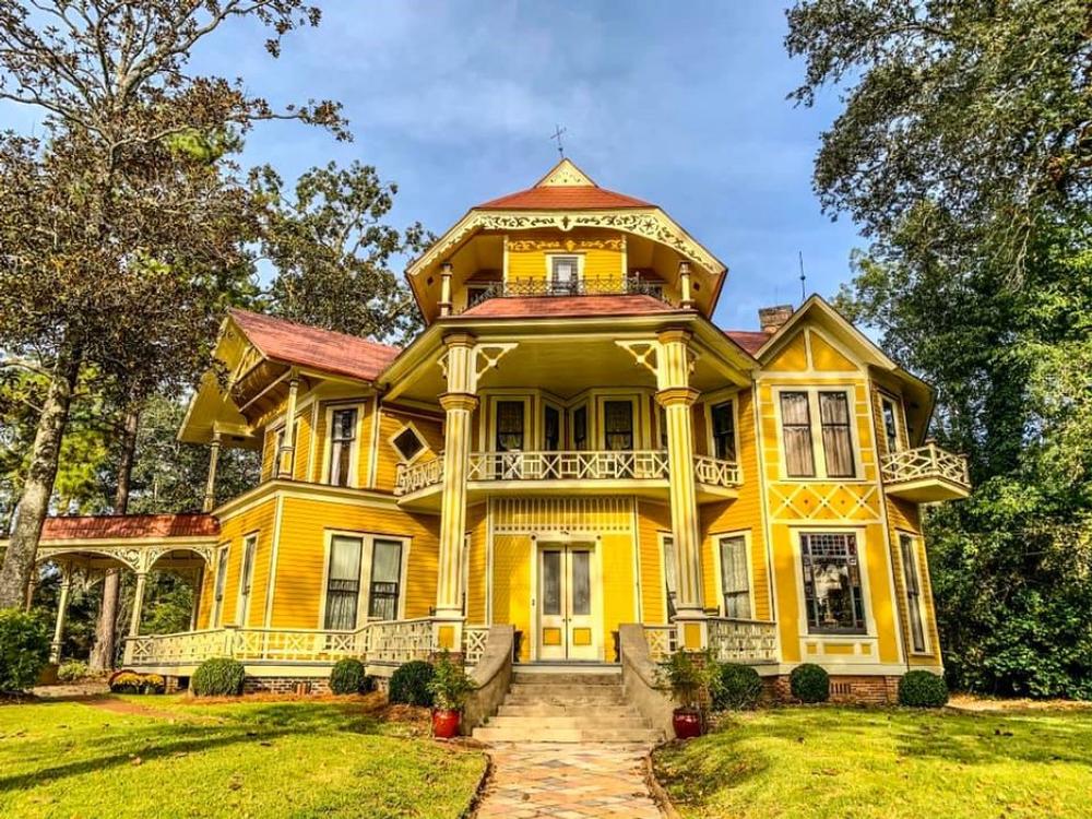 Explore quirky architecture and discover unusual design on an educational tour.