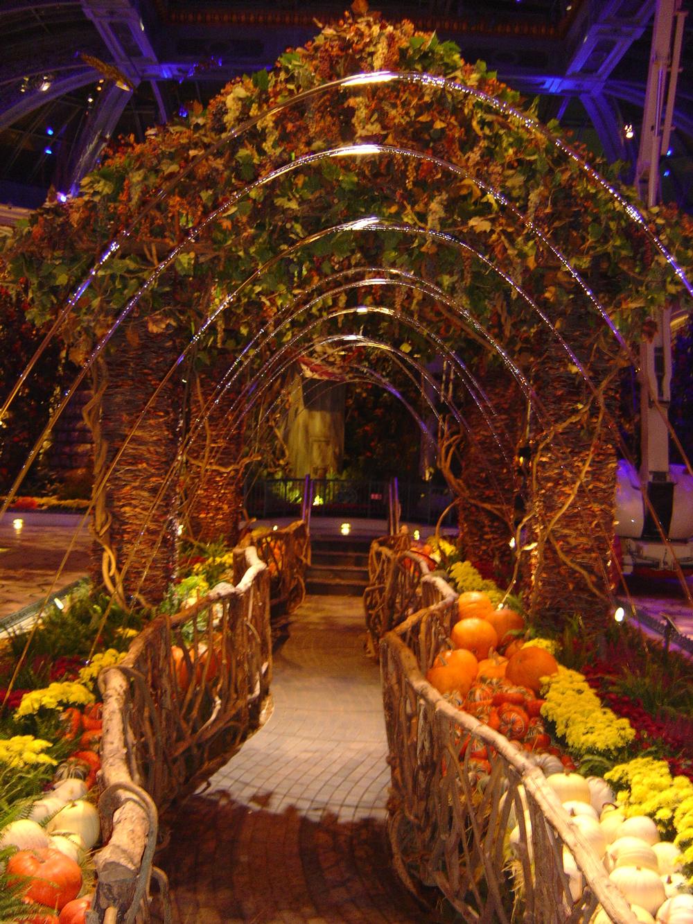 Stroll Through Floral Fantasy at the Bellagio Conservatory & Botanical Gardens