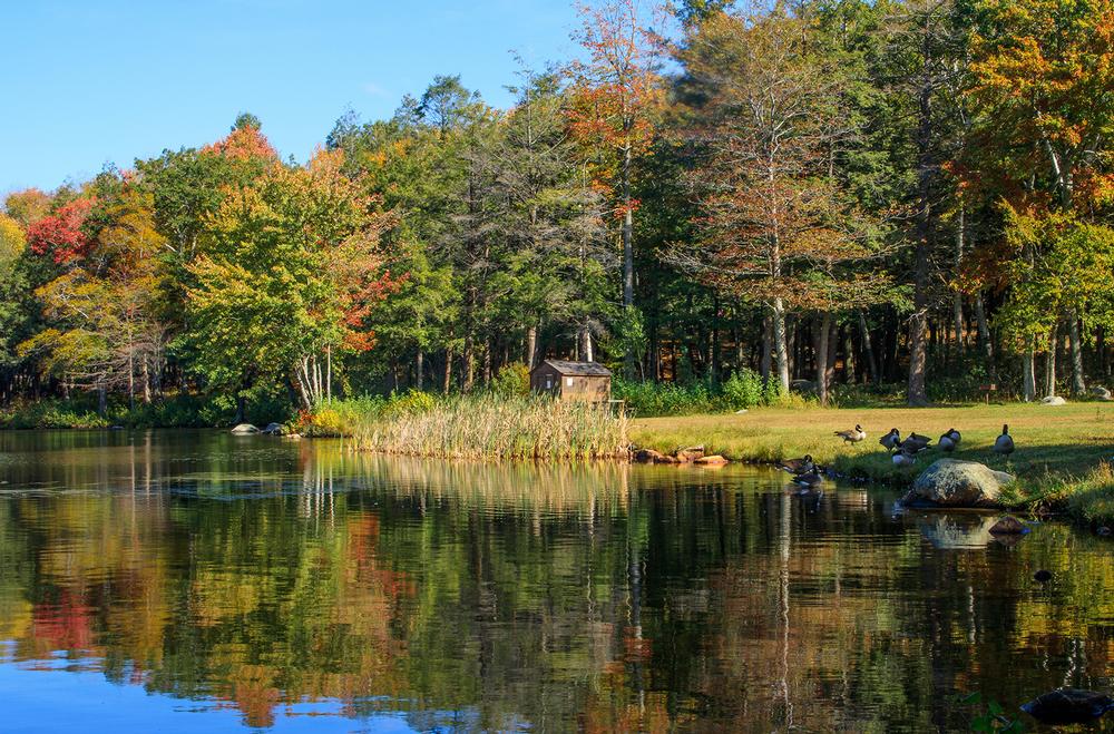 Swim, Paddle, and Picnic at Burr Pond State Park