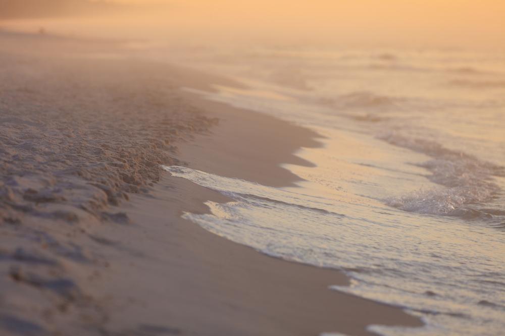 Swim, Sunbathe, or Stroll at Crown Memorial State Beach