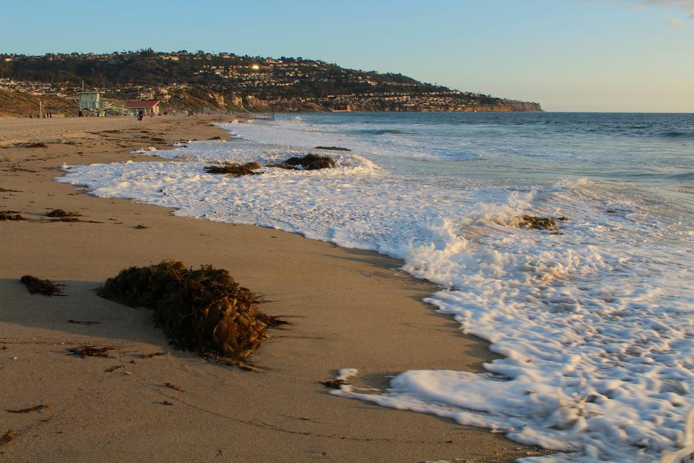 Swim, Surf, or Just Chill at Torrance State Beach